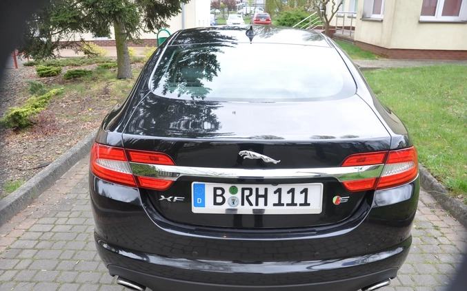 Jaguar XF cena 59900 przebieg: 226000, rok produkcji 2014 z Recz małe 436